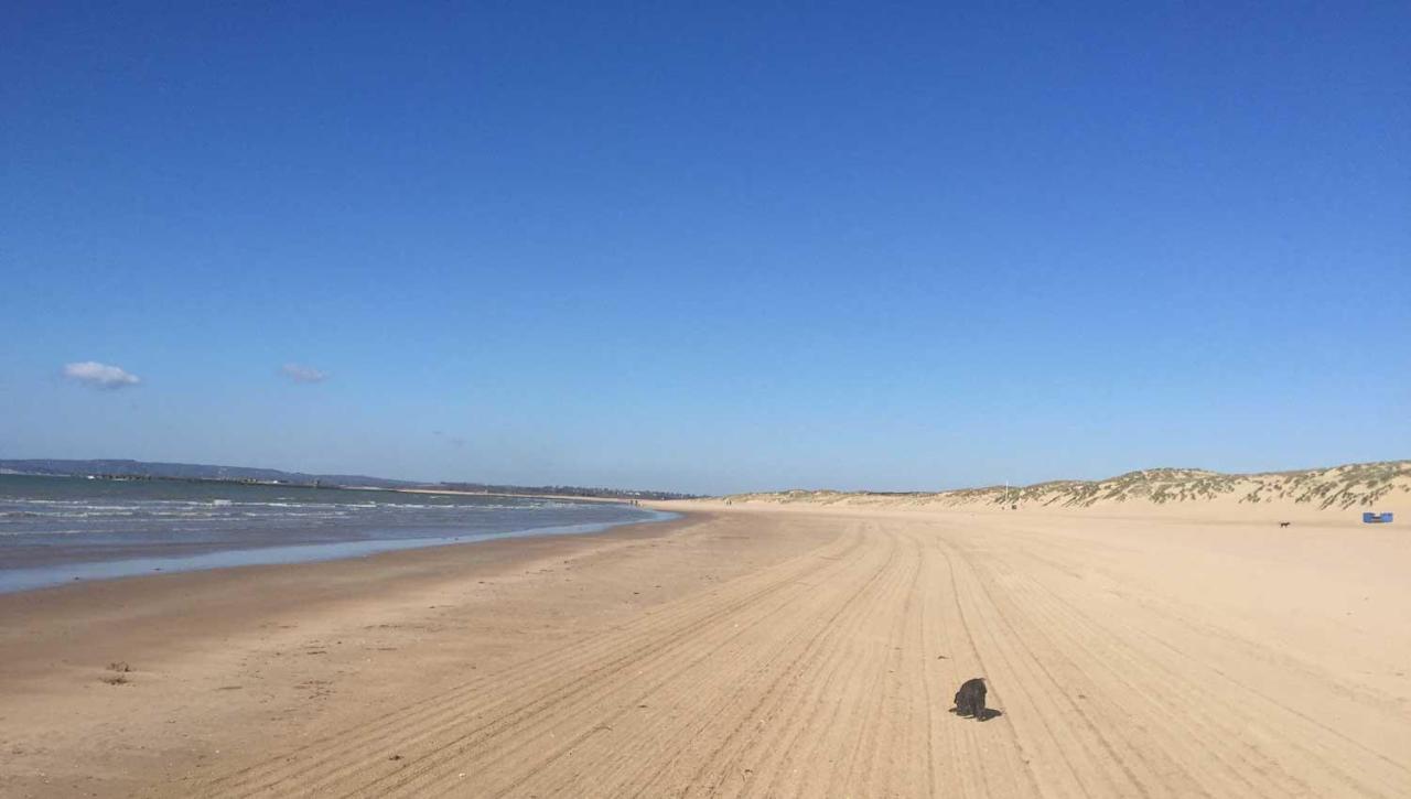 Owlers Retreat Villa Camber Екстериор снимка